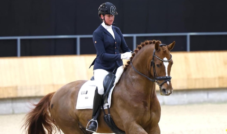 Het belang van de juiste paardenspullen 