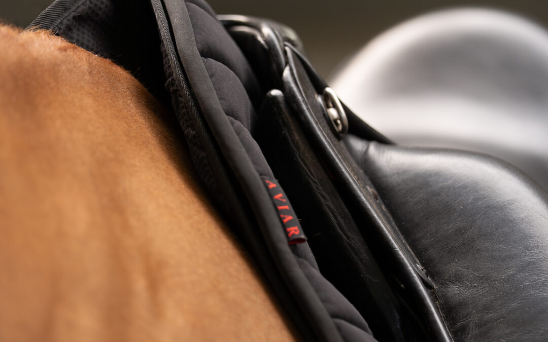 Onderhoud van het tuig