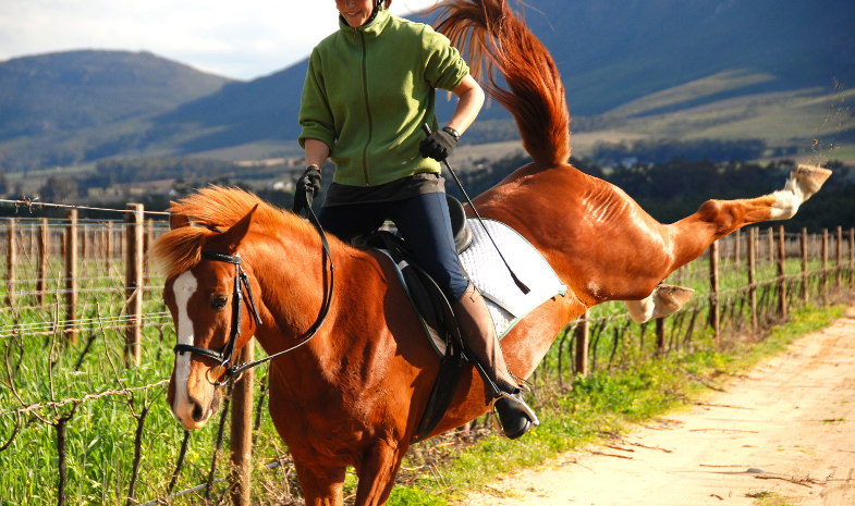 Gedragsproblemen bij paarden
