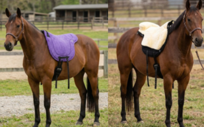 Bareback rijden? Heerlijk. Je pad schoonhouden, een drama.