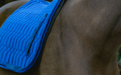 Welke maat zadeldek heb ik nodig?